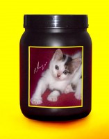 pote para ração de 1Kg personalizado com a foto do seu pet